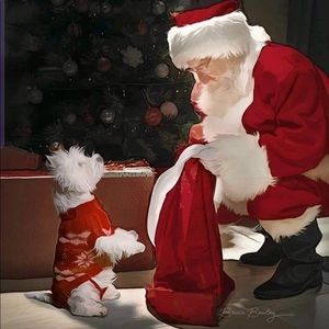 Meet your Posher, Sandy